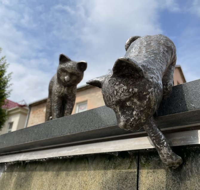 Marijampolės savivaldybės administracijos archyvo nuotr./Kačių kiemelis