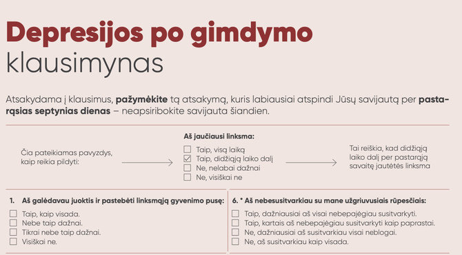 Pranešimo autorių nuotr./Iškarpa iš lankstinuko