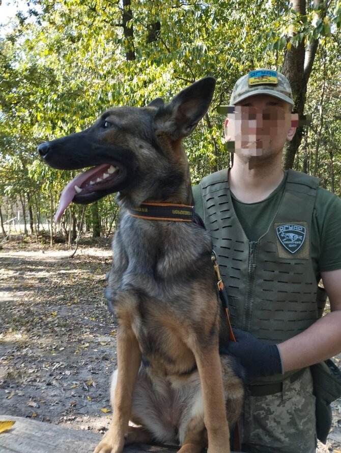 Pranešimo autorių nuotr./Renkamos lėšos maistui ir priežiūrai „Jaguar“ kinologijos centrui Ukrainoje