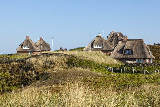 „iStock“ nuotr./Zilto kopos