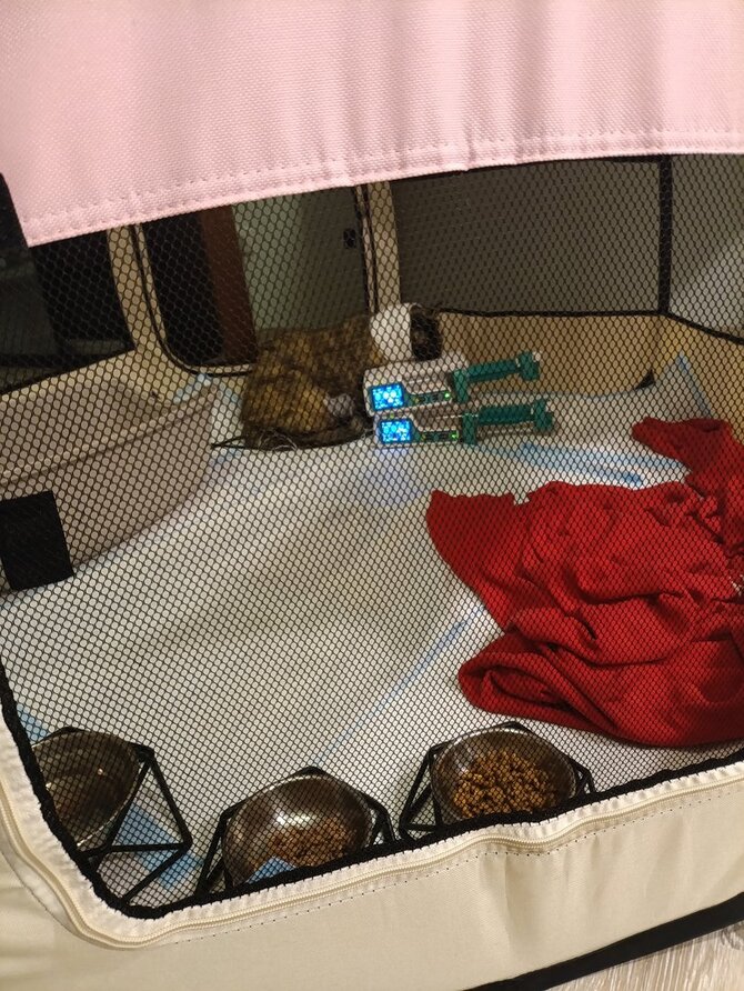 Asmeninio archyvo nuotr./Veterinarė įamžino savo augintinio kovą su pavojinga liga