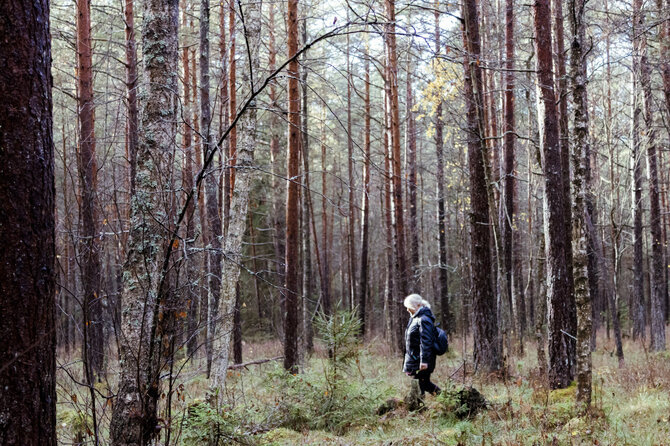 Valstybinių miškų urėdijos (VMU) nuotr./Miško terapija