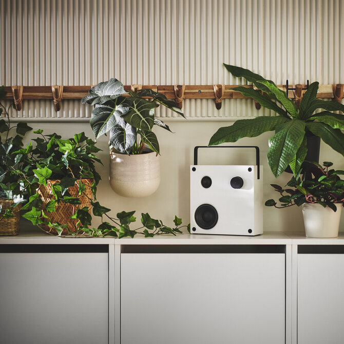 Ikea nuotr./Augalai namuose