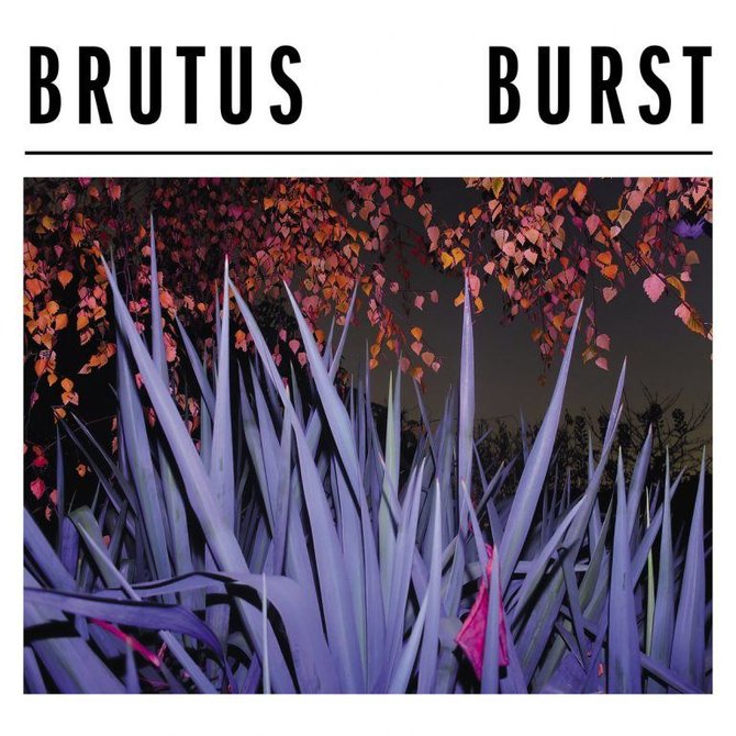 Albumo viršelis/Brutus-Burst