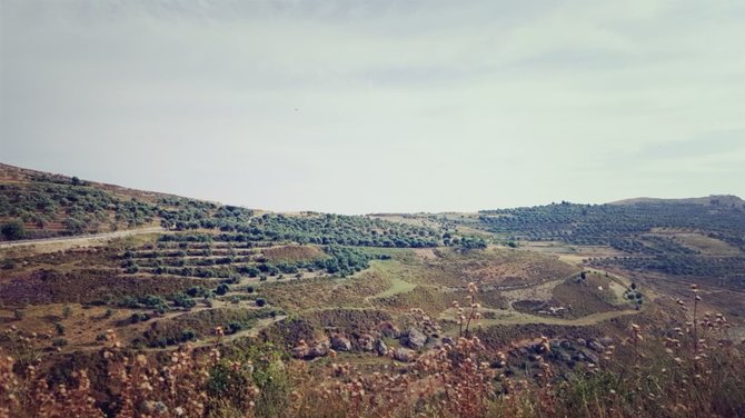 Palestinos kalvos/ G.Steikūnaitės asmeninio archyvo nuotr.
