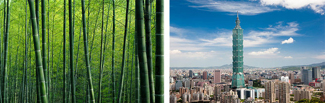 Projekto partnerio nuotr./Bambukai / Taipei