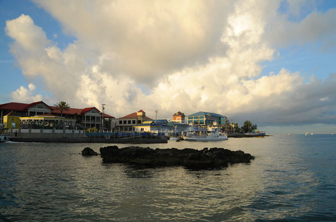 Vitofoto.lt nuotr./Kaimanų salos