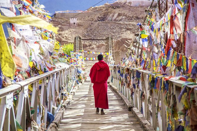 Shutterstock nuotr./Budistų vienuolis, Ladakas