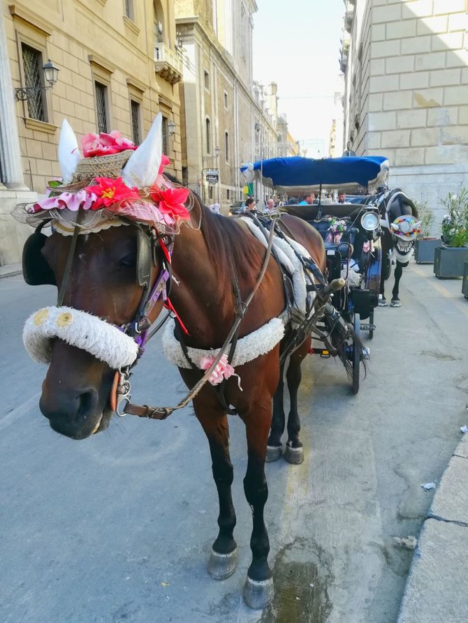 Monikos Svėrytės nuotr./Palerme