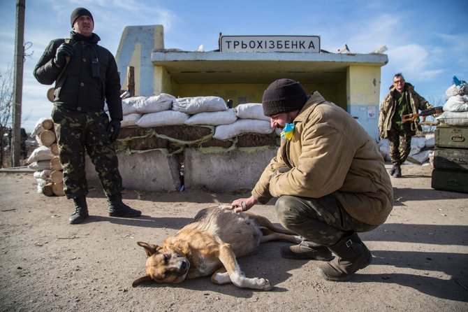 AFP/„Scanpix“ nuotr./Ukrainos karių šuo blokposte prie Luhansko
