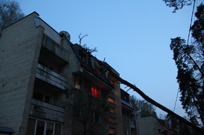 Vilniuje, Mildos gatvėje ant 33 namo vakare užvirto pušis, pralaužė daugiabučio namo stogą, nulaužė elektros stulpus.