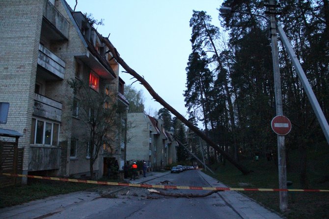 Vilniuje, Mildos gatvėje ant 33 namo vakare užvirto pušis, pralaužė daugiabučio namo stogą, nulaužė elektros stulpus.