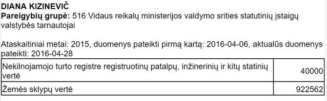 VMI nuotr./Dianos Kizinevič turto deklaracija