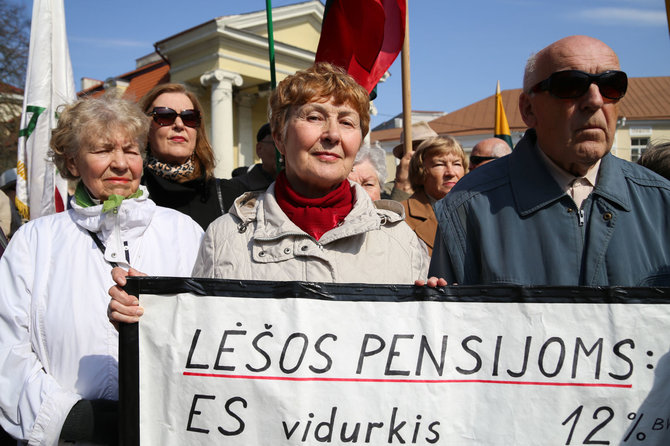 Mato Miežonio / 15min nuotr./Pensininkams atstovaujančių organizacijų mitingas