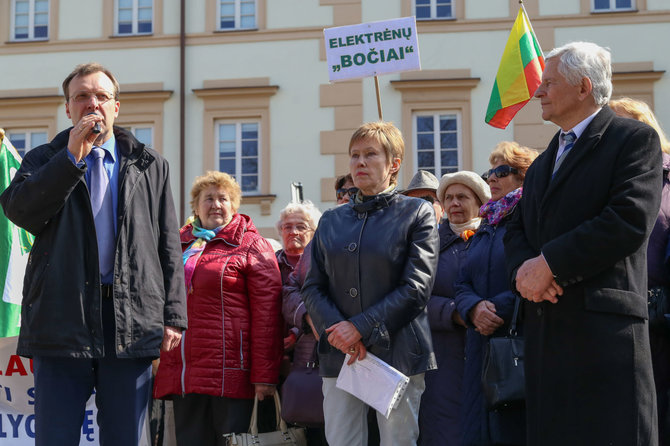 Mato Miežonio / 15min nuotr./Pensininkams atstovaujančių organizacijų mitingas