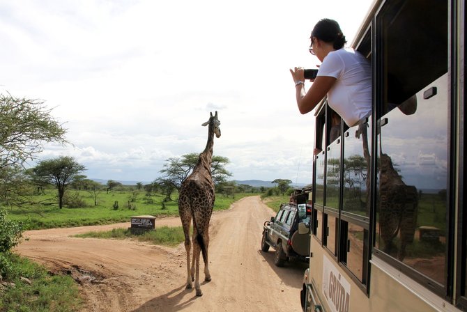 Kelionių organizatoriaus „GRŪDA“ nuotr./Safaris po Serengečio nacionalinį parką
