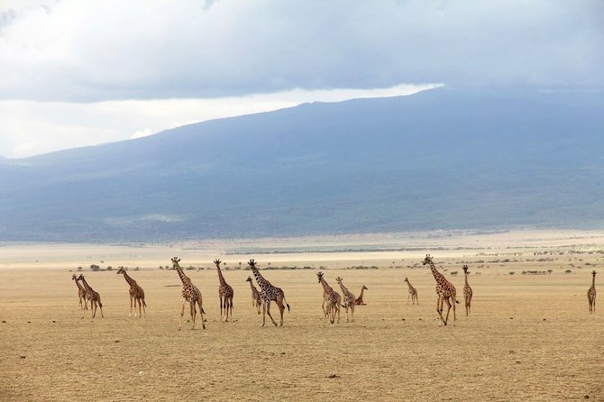 Kelionių organizatoriaus „GRŪDA“ nuotr./Serengečio nacionalinis parkas