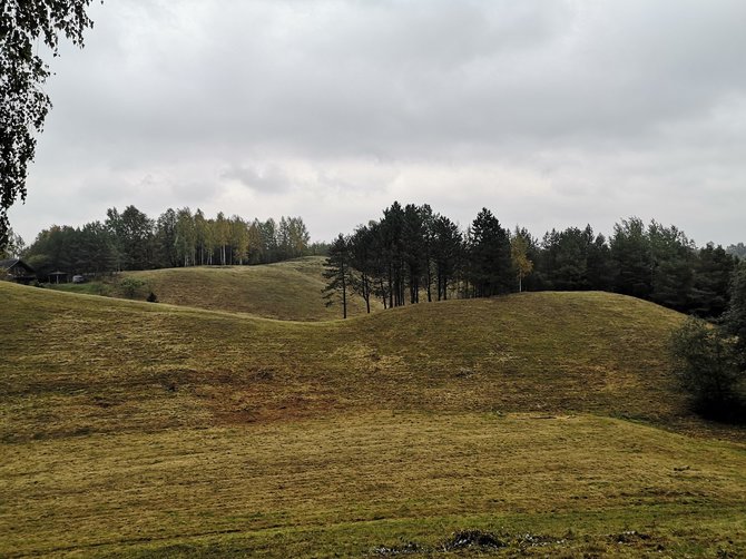 Partnerio nuotr./Ribiškių kraštovaizdžio draustinis