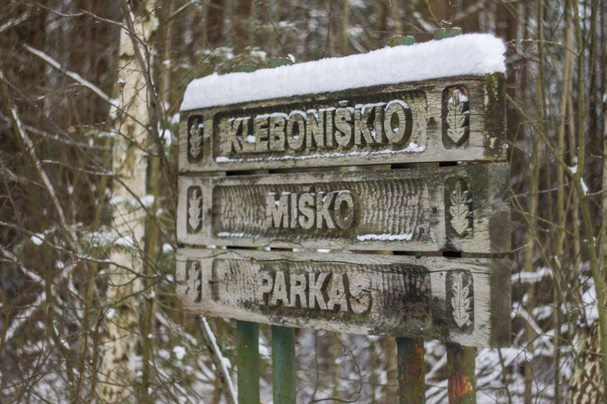 Justinos Butkutės nuotr./Žiemos vaizdai Kleboniškio miško parke