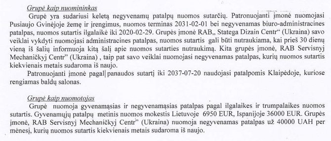 15min nuotr./Ištrauka iš „Stategos“ finansinių dokumentų