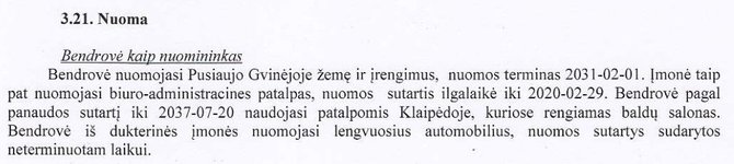 15min nuotr./Ištrauka iš „Stategos“ finansinių dokumentų