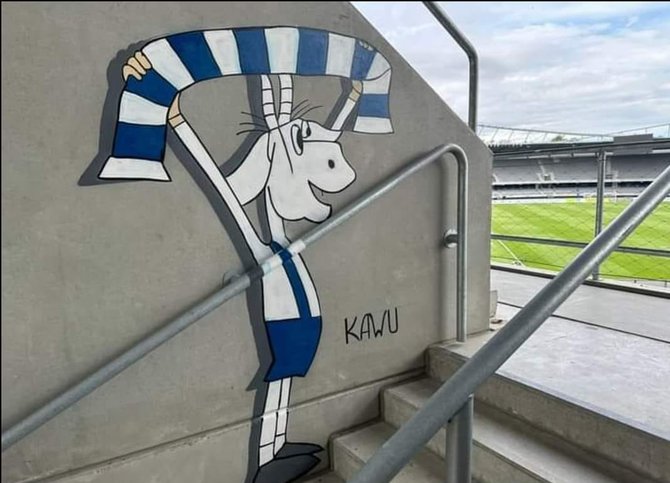 Kawu piešinys Dariaus ir Girėno stadione