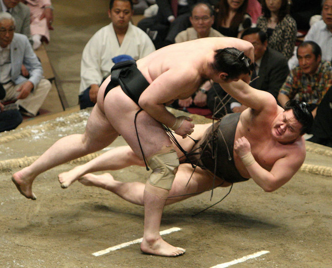 „Scanpix“ nuotr./Harumafuji 