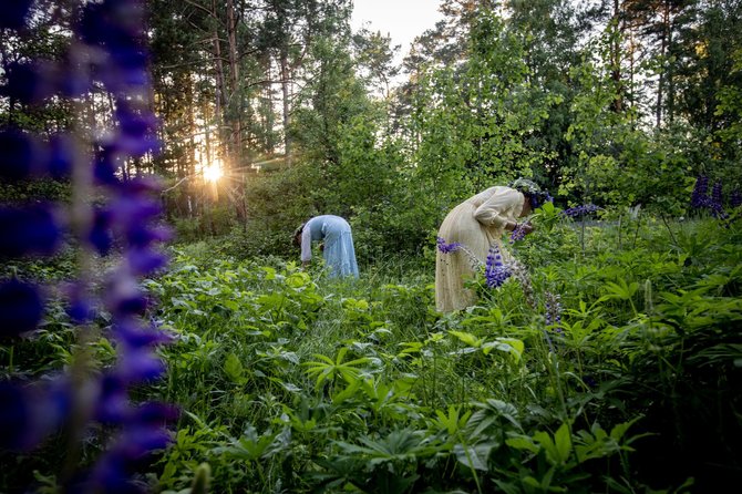 Vidmanto Balkūno / 15min nuotr./Musteikos (Varėnos raj.) kaimo bendruomenė švenčia trumpiausią metų naktį – Rasas