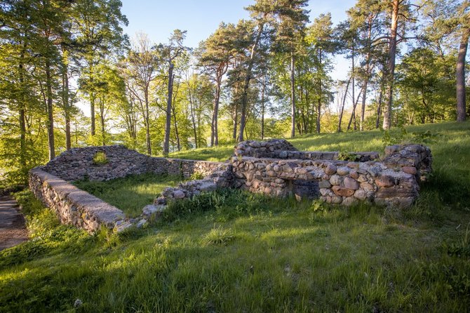 Vidmanto Balkūno / 15min nuotr./Užutrakio dvaro sodybos vieno iš pastatų griuvėsiai