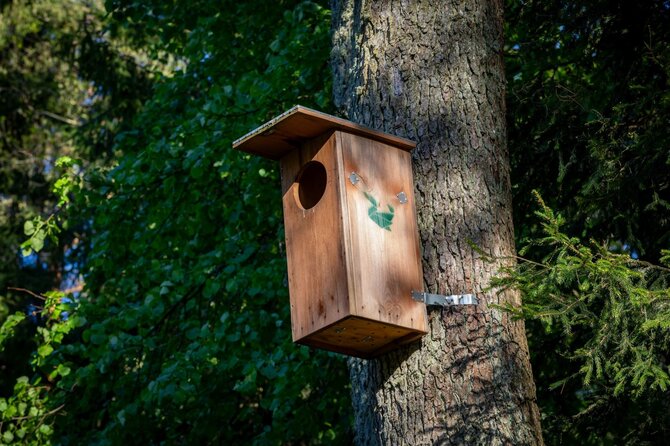 Vidmanto Balkūno / 15min nuotr./Užutrakio dvaro sodybos parke kabantis inkilas antims