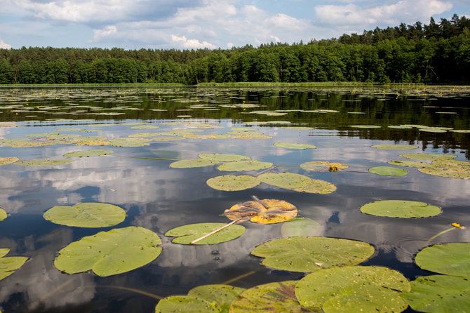 Vidmanto Balkūno / 15min nuotr./Varėnės upė