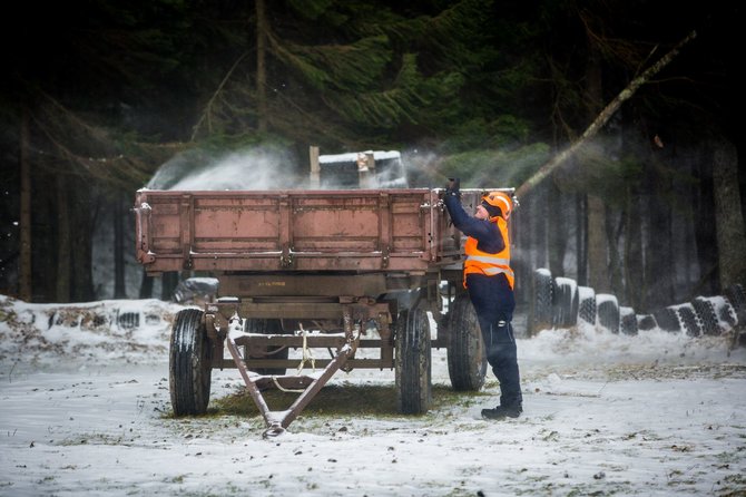 Vidmanto Balkūno / 15min nuotr./Lietuvos gelbėtojai treniravosi tarptautinėms operacijoms