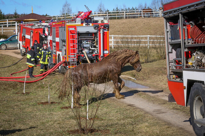Vidmanto Balkūno / 15min nuotr./Purnuškių kaime antradienį degė Grybų dvaro arklidės.