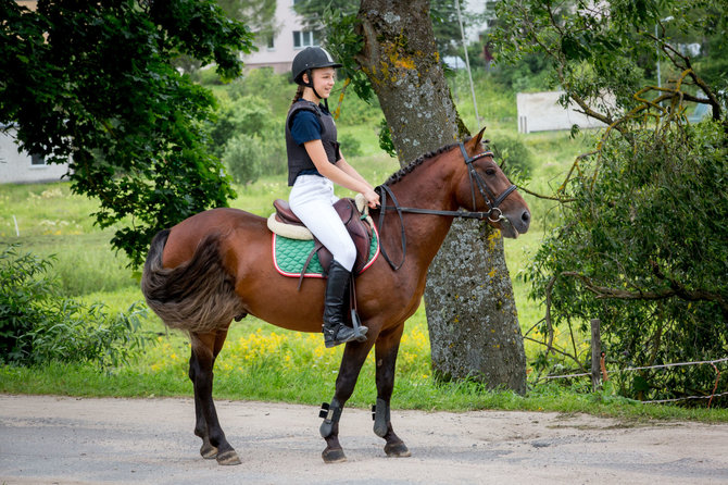 Vidmanto Balkūno / 15min nuotr./Žemaitukas