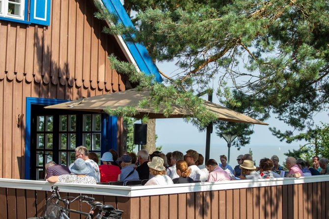 Gintauto Beržinsko ir Vytauto Petriko nuotr./Thomo Manno festivalio akimirkos