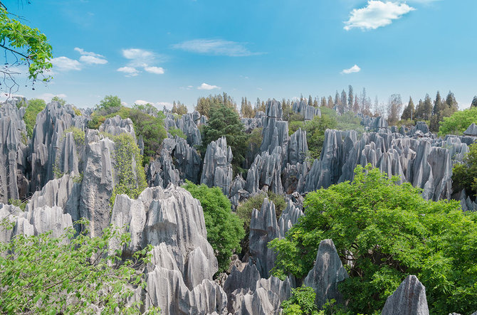 Shutterstock nuotr./Akmenų miškas, Kinija