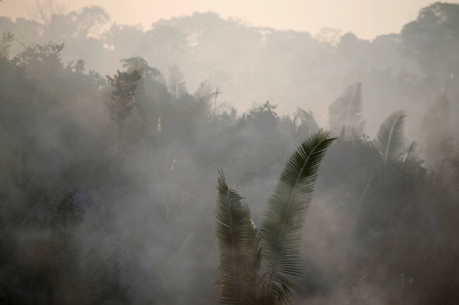 „Reuters“/„Scanpix“ nuotr./Gaisras Amazonės miškuose