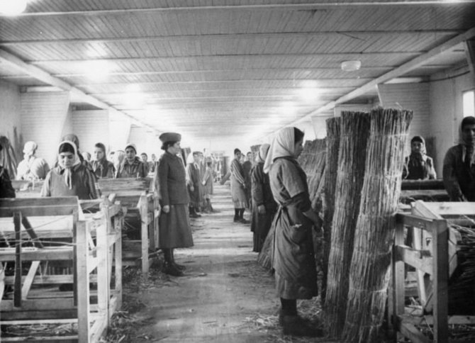 JAV Holokausto memorialo muziejaus nuotr./Priverstinis darbas Ravensbruko stovykloje