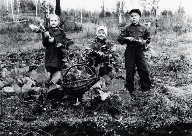 Vilhelmo Janiselio/Pasvalio krašto muziejaus fondų nuotr./Pirmasis derlius. V.Janiselio vaikai – Aldona, Emilija, Algis, 1949 m.