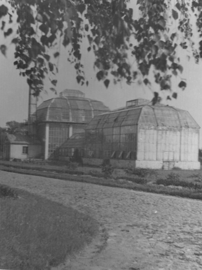 VDU photo/VDU botanical garden in 1954.