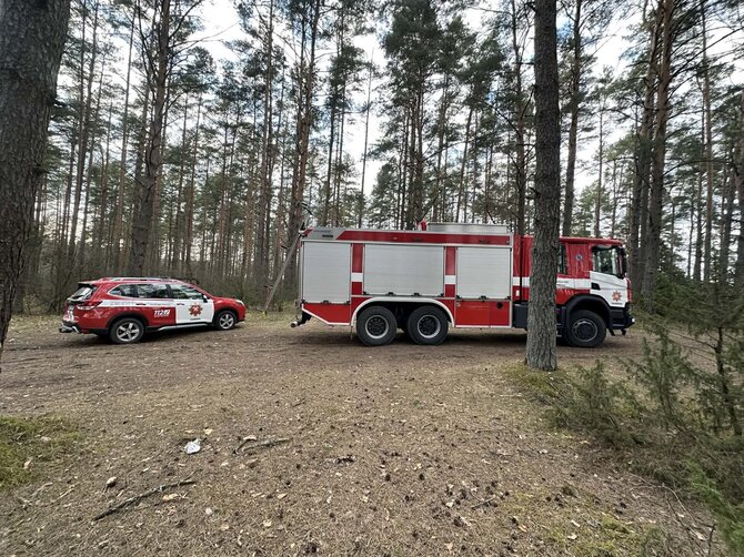 Rūtos Averkienės nuotr./Varėnoje nukrito dronas