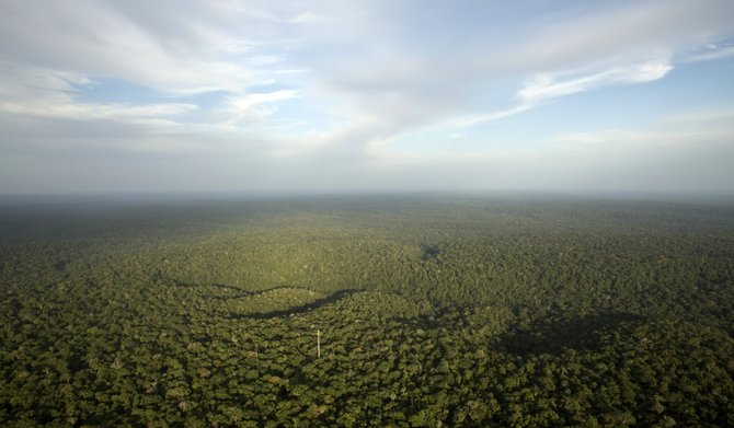 „Reuters“/„Scanpix“ nuotr./Amazonės miškai