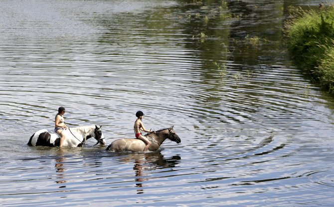 „Reuters“/„Scanpix“ nuotr./Atėjus karščiams gyventojai atsivėsina stipriai nusekusioje netoli Prahos esančioje Berounkos upėje