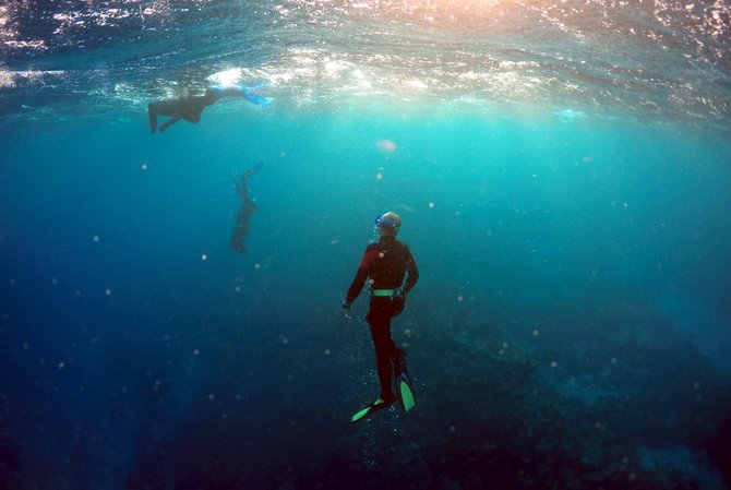 „Reuters“/„Scanpix“ nuotr./Didysis barjerinis rifas Australijoje