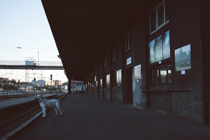  Linos Jushkes nuotr./Traukinių stotyje bus atidarytas baras „Peronas“