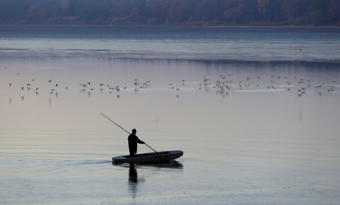 „Reuters“/„Scanpix“ nuotr./Tradicinė karpių žvejyba Čekijoje