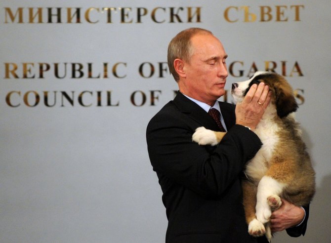 AFP/„Scanpix“ nuotr./Vladimiras Putinas su šunimis