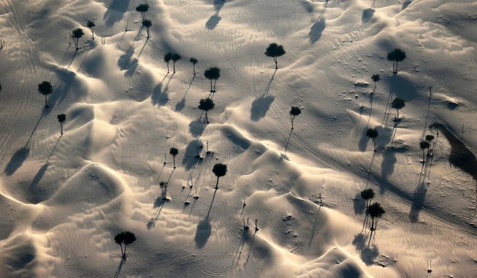 AFP/„Scanpix“ nuotr./Dubajaus dykuma