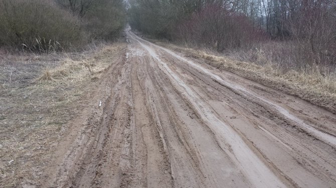 Dariaus Tumo nuotr./Sunkiai pravažiuojamas kelias Kauno rajono Bernatonių kaime