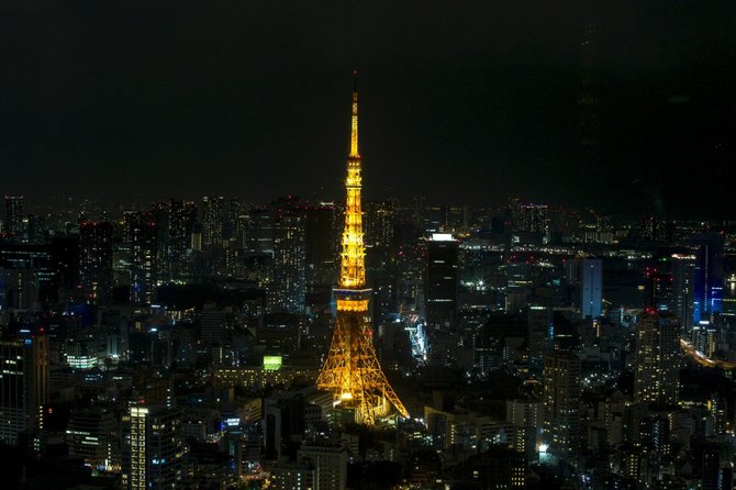 „Reuters“/„Scanpix“ nuotr./Tokijas naktį